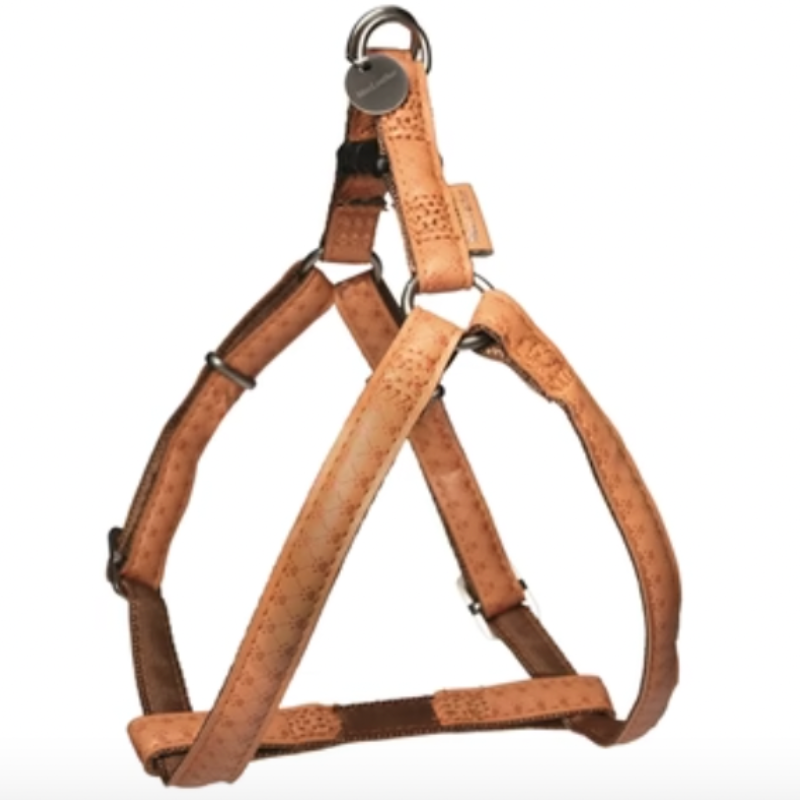 Macleather-Geschirr Braun